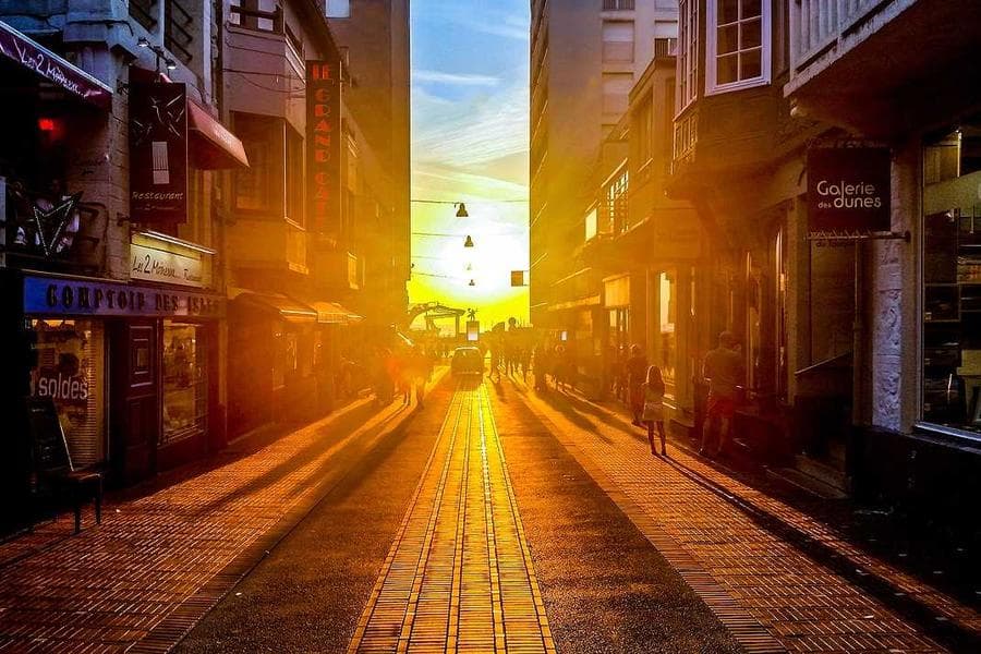 Two roller skaters in Central Park caught mid-glide, leaning together, momentum visible in their posture