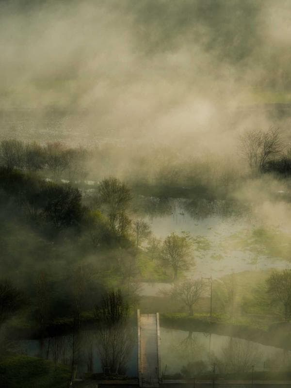 A dancing couple in elegant dress caught mid-dip, the woman's body curved dramatically, faces turned away